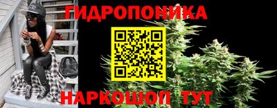 герыч Гатчина